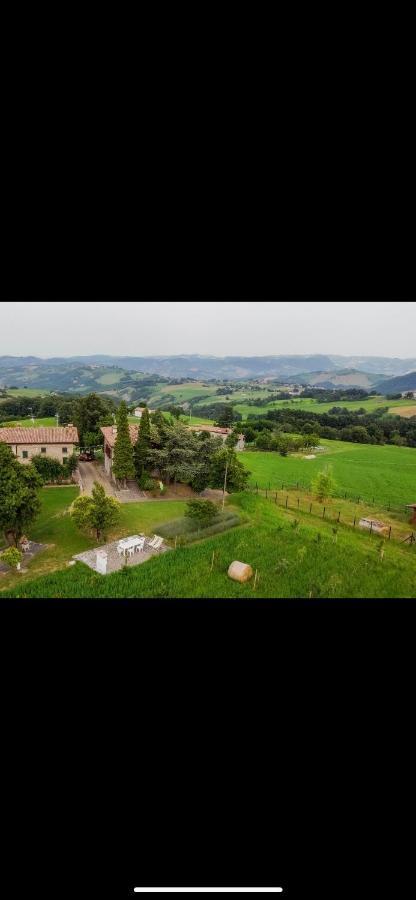 La Baita Nei Boschi Villa Serramazzoni ภายนอก รูปภาพ