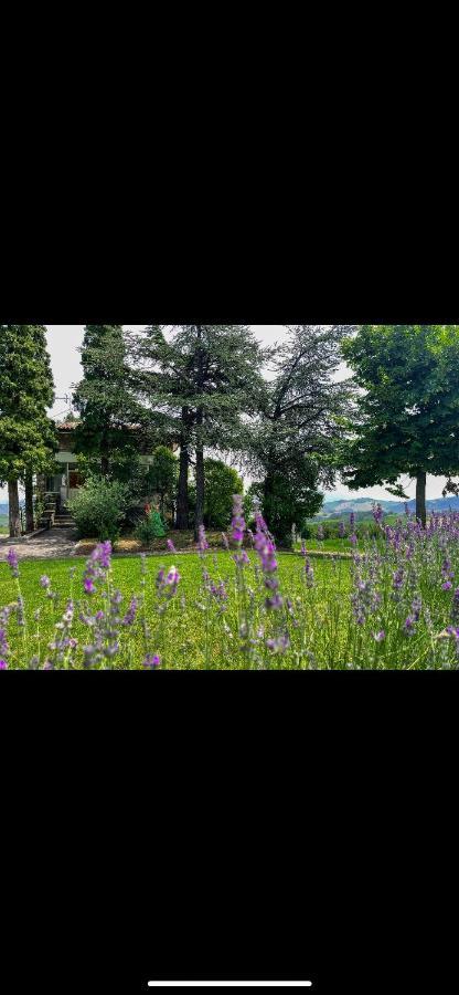 La Baita Nei Boschi Villa Serramazzoni ภายนอก รูปภาพ