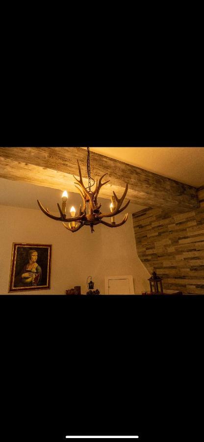 La Baita Nei Boschi Villa Serramazzoni ภายนอก รูปภาพ