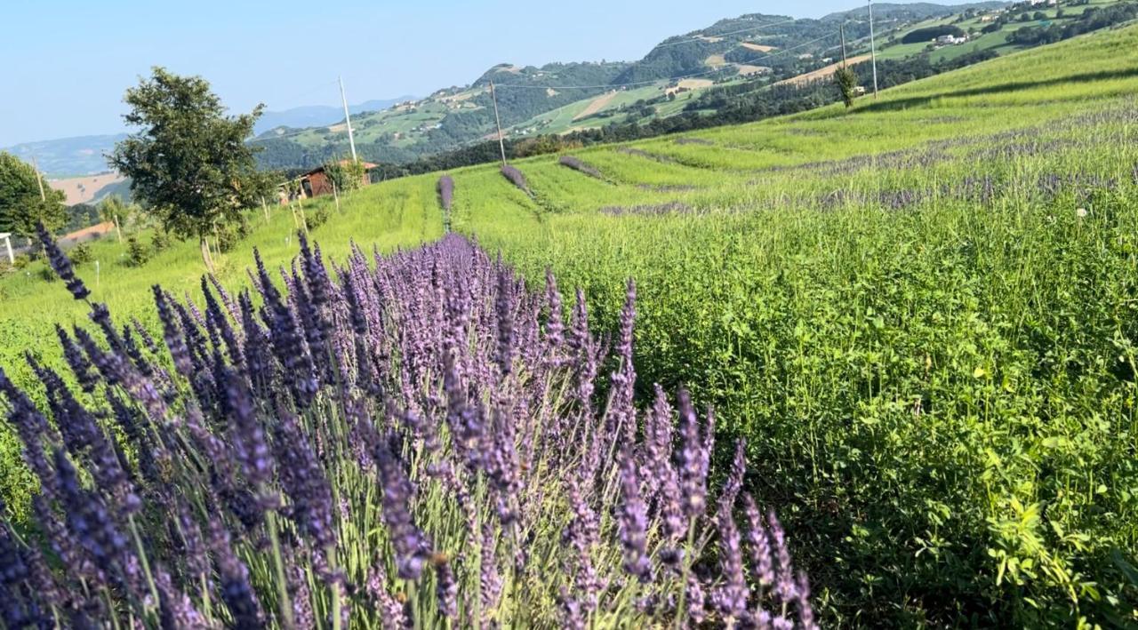 La Baita Nei Boschi Villa Serramazzoni ภายนอก รูปภาพ